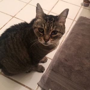 Meet your Posher, Shannan